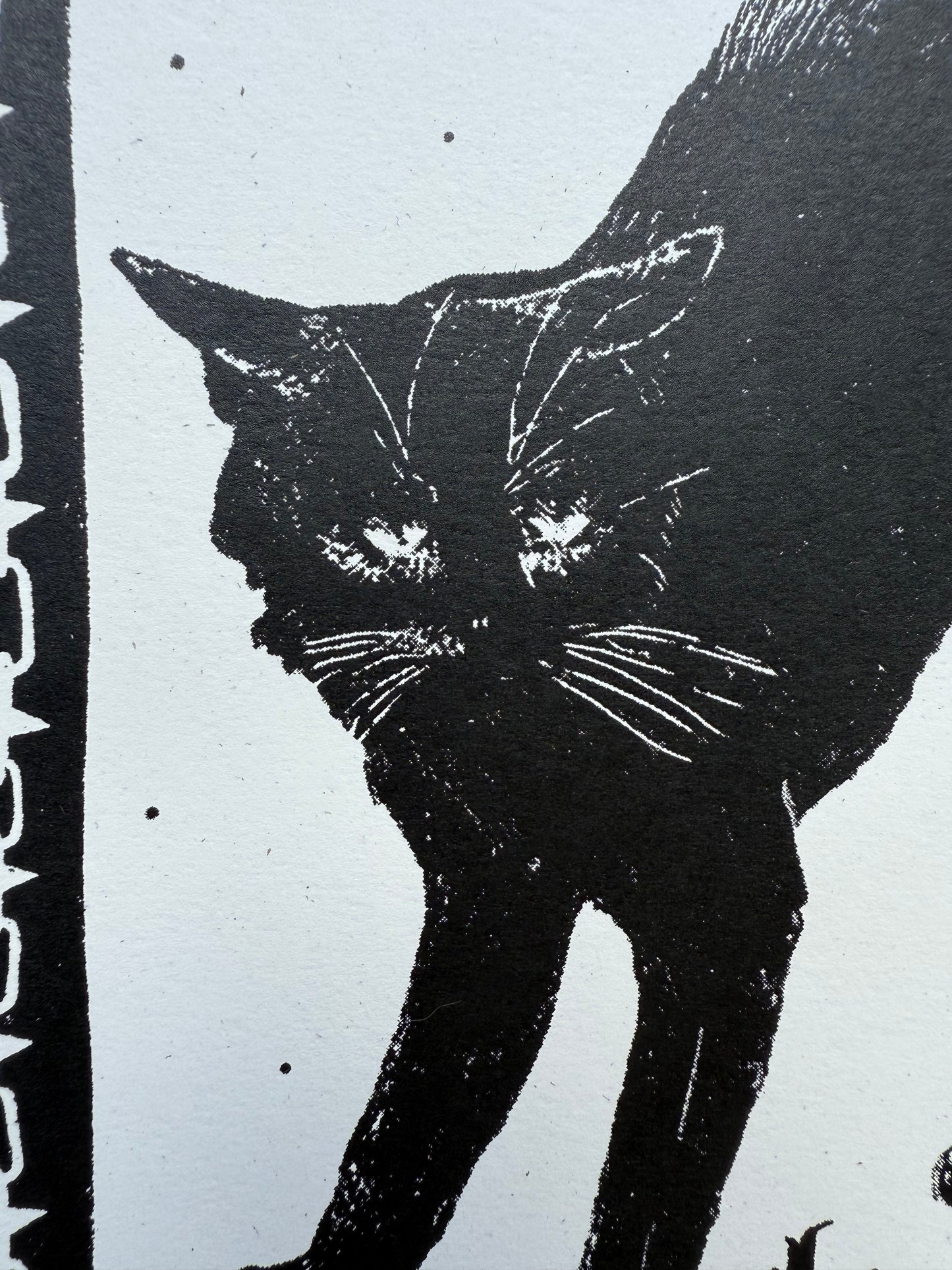 scaredy cat screenprint