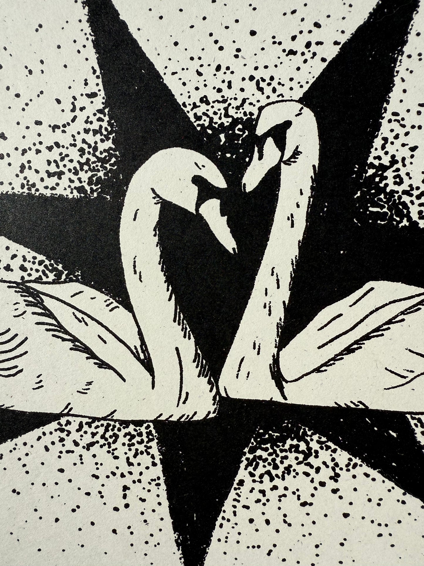 swan screenprint