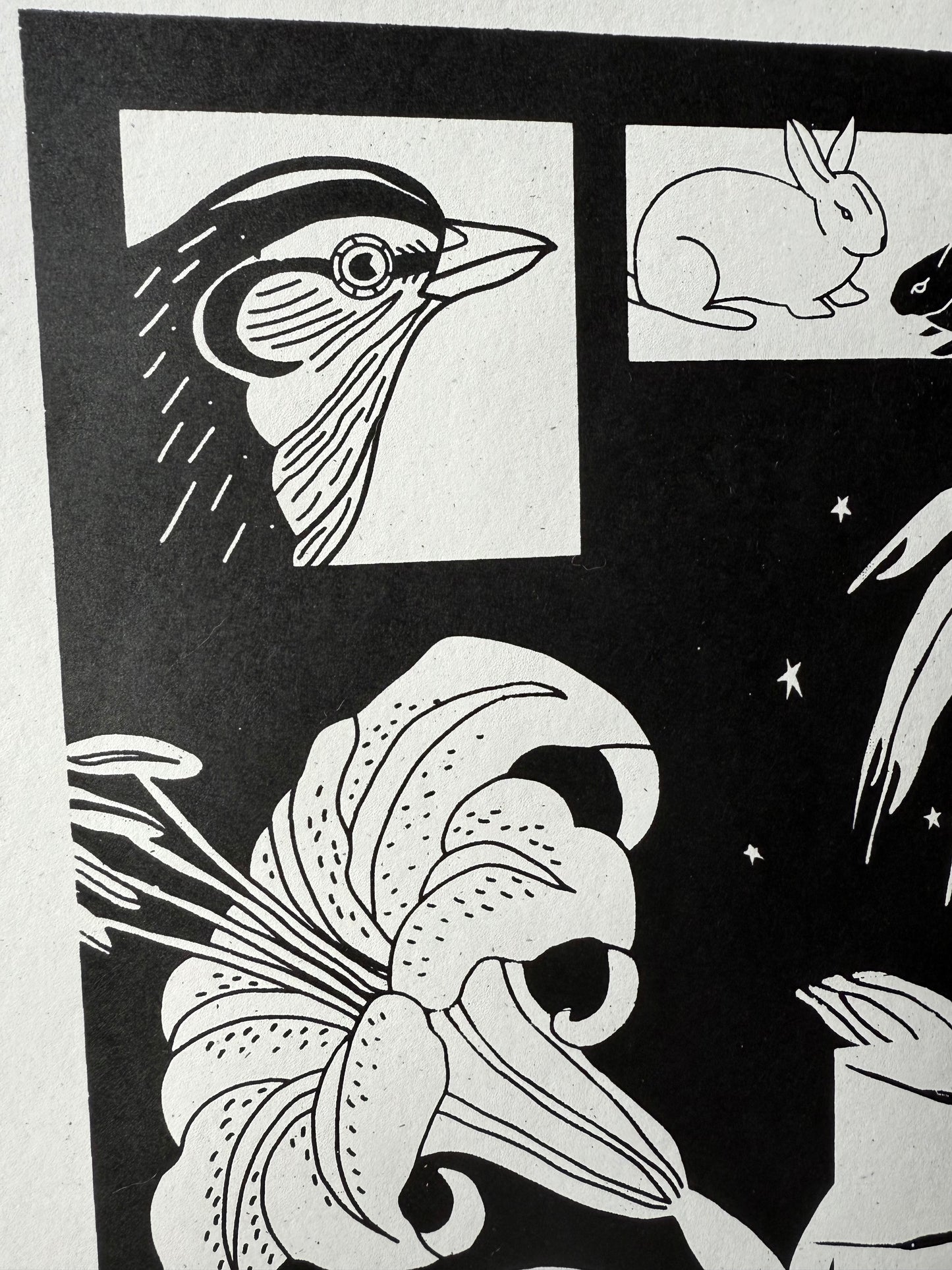 late bloomer screenprint